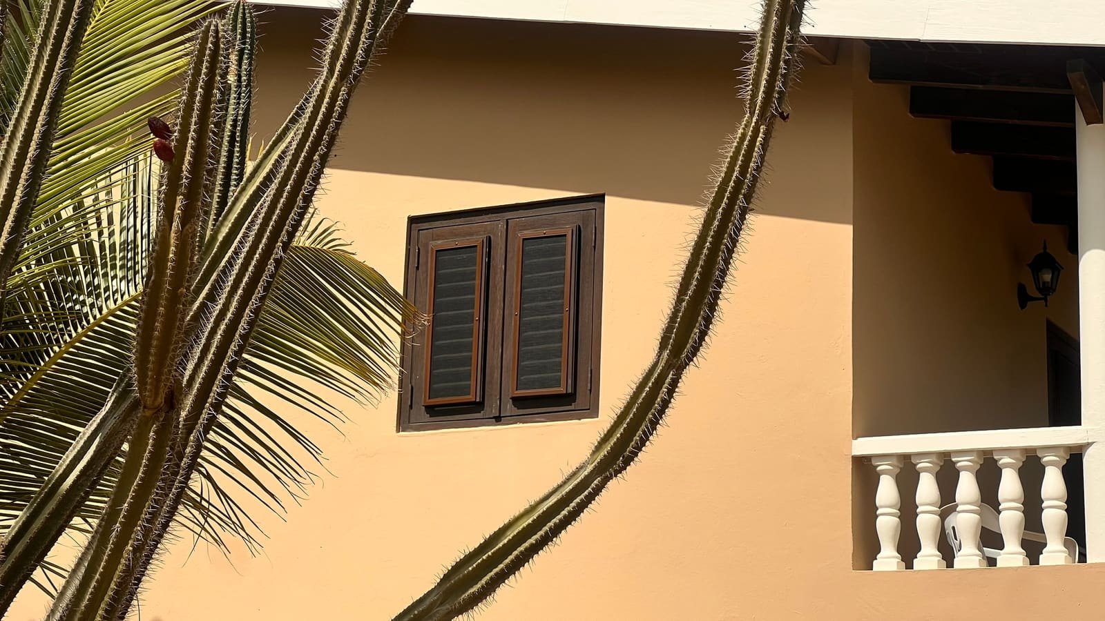 Fixed insect screen on wooden shutter windows in Curaçao